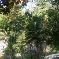 фото из отзыва ID 1321443