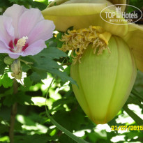 фото из отзыва ID 1321467