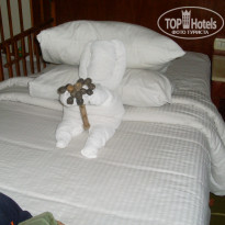 фото из отзыва ID 1321504