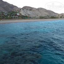 фото из отзыва ID 1320874