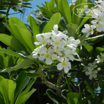 фото из отзыва ID 1321622