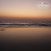 фото из отзыва ID 1321633