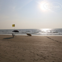 фото из отзыва ID 1321633