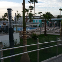 фото из отзыва ID 1321770