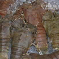 фото из отзыва ID 1321786