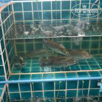 фото из отзыва ID 1321786