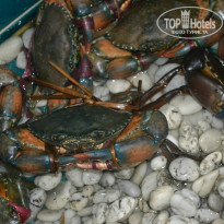 фото из отзыва ID 1321786