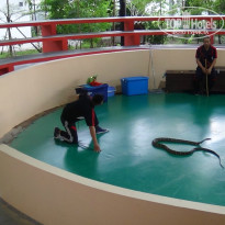 фото из отзыва ID 1321786