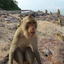 фото из отзыва ID 1321786