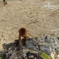 фото из отзыва ID 1321786