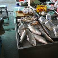 фото из отзыва ID 1321786