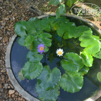 фото из отзыва ID 1321786