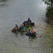 фото из отзыва ID 1321786