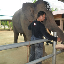 фото из отзыва ID 1321786