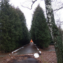 фото из отзыва ID 1321811