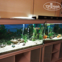 фото из отзыва ID 1321811