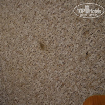 фото из отзыва ID 1321858