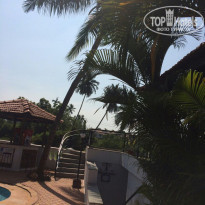 фото из отзыва ID 1321904