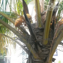 фото из отзыва ID 1321904