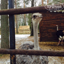 фото из отзыва ID 1321987