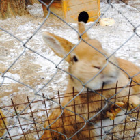 фото из отзыва ID 1321987