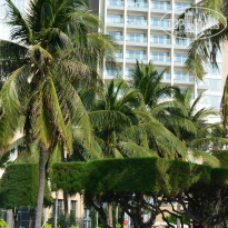 фото из отзыва ID 1322020