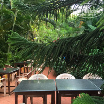 фото из отзыва ID 1322127