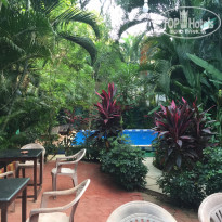 фото из отзыва ID 1322127