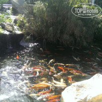 фото из отзыва ID 1322250