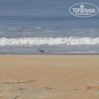 фото из отзыва ID 1322267