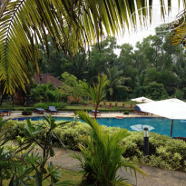 фото из отзыва ID 1322327