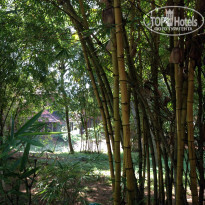 фото из отзыва ID 1322327