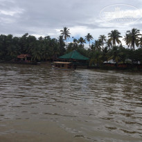 фото из отзыва ID 1322327