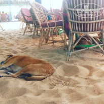 фото из отзыва ID 1322350