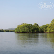 фото из отзыва ID 1322350