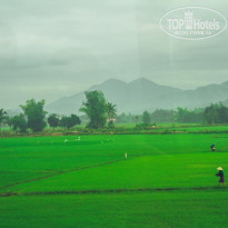 фото из отзыва ID 1322431