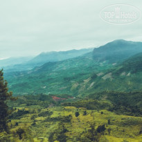 фото из отзыва ID 1322431