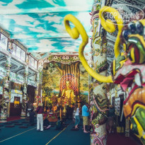 фото из отзыва ID 1322431