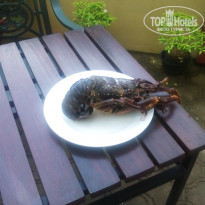 фото из отзыва ID 1322638