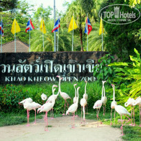 фото из отзыва ID 1322644