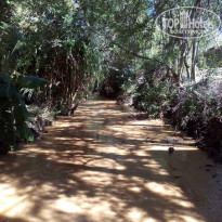 фото из отзыва ID 1322650