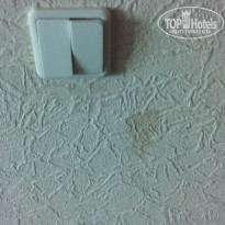 фото из отзыва ID 1322660