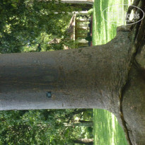 фото из отзыва ID 1322806