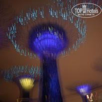 фото из отзыва ID 1320227