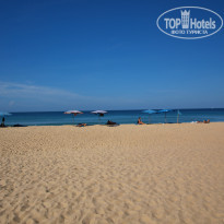 фото из отзыва ID 1321122