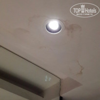 фото из отзыва ID 1322906