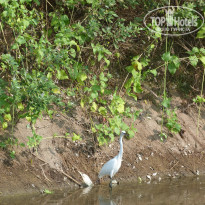 фото из отзыва ID 1322911