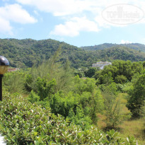 фото из отзыва ID 1322974