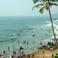 фото из отзыва ID 1322996