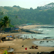 фото из отзыва ID 1322996